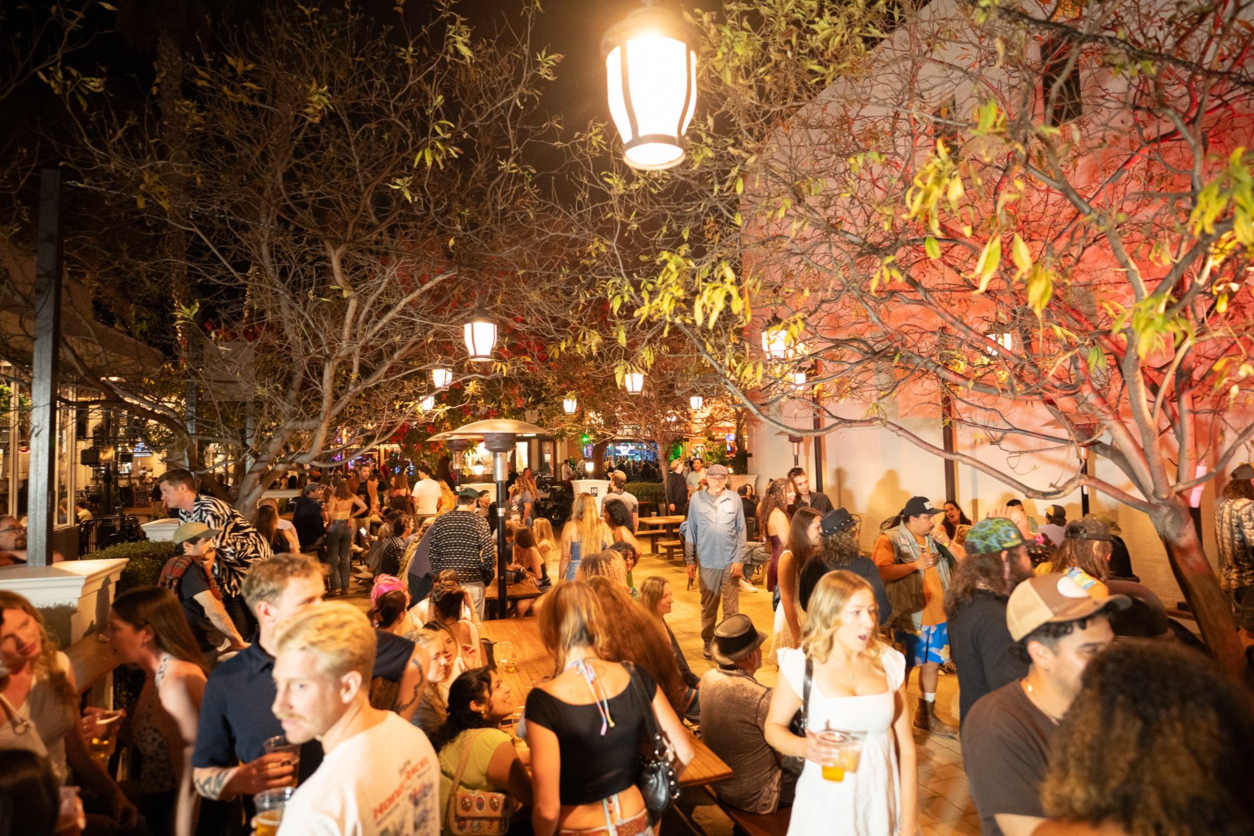 The State Fest crowd filling State Street under the lamps at night